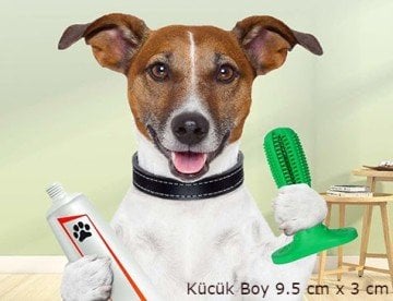 Köpek Diş Fırçası Diş Temizleme Oyuncağı