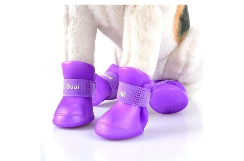 Renkli Silikon Cırtlı Kedi Köpek Pati Ayakkabısı (4 Adet)