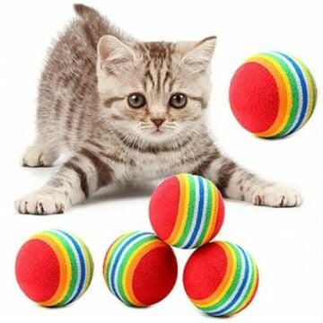 Rengarenk Gökkuşağı Tasarımlı Kedi Köpek Oyun Topu 2'li