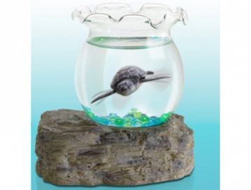 Nemo Yapay Balık ve Akvaryum Seti Petquarium Animated Pet Fish