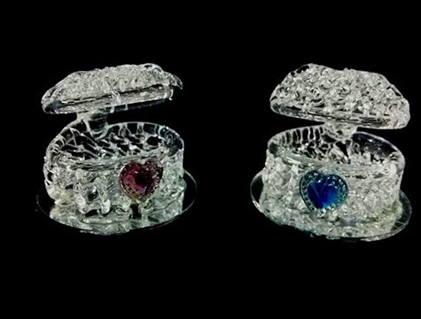 Kristal Kalpli İstiridye Nikah Şekeri Malzemesi