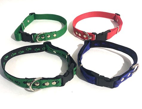 Küçük Irk Köpek Tasması