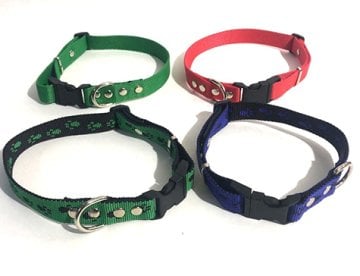 Küçük Irk Köpek Tasması