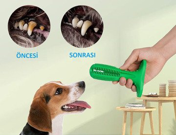 Köpek Diş Fırçası Diş Temizleme Oyuncağı (Büyük Boy)