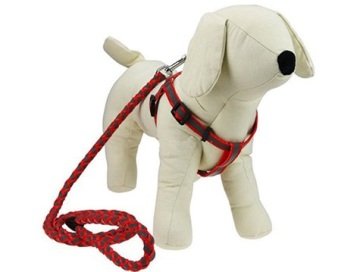 Köpek Göğüs Tasması ve Örgü Gezdirme Kayışı