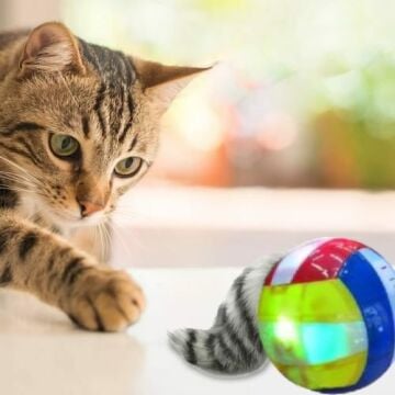 Kedi Köpek Işıklı Sansar Top Oyuncak