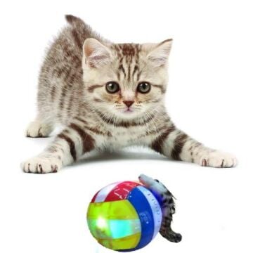 Kedi Köpek Işıklı Sansar Top Oyuncak