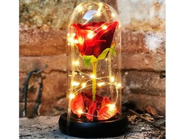 Dekoratif Cam Fanus İçinde Solmayan Kırmızı Gül