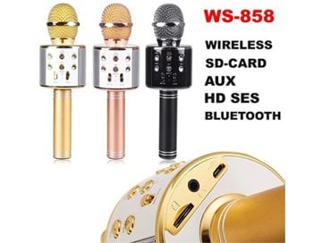 Bluetooth Karaoke Mikrofon Usb-Sd Kart-Radyo Ws858