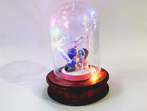 Fanus İçinde Renkli Led Işıklı Sevgili Biblosu