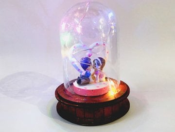 Fanus İçinde Renkli Led Işıklı Sevgili Biblosu