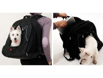 Kedi ve köpek Taşıma  Sırt Çantası