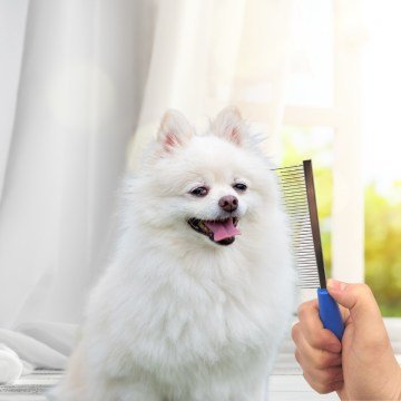 Tek Taraflı Kedi ve Köpek Bakım Tarağı