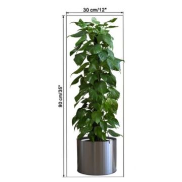 Yeşil Bitki Tasarımlı Yapışkanlı Sticker (90cmx30cm)