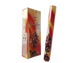 Darshan Chandan Çubuk Tütsü İncense Sticks (120 Adet)