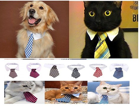 Gömlek Yakalı Kravat Şeklinde Kedi Köpek Tasması