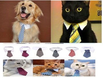 Gömlek Yakalı Kravat Şeklinde Kedi Köpek Tasması