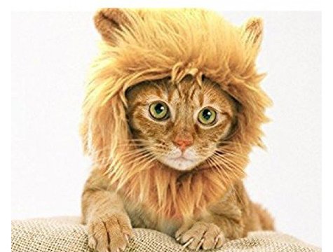 Kedi Aslan Yelesi Peruk Kedi Elbisesi