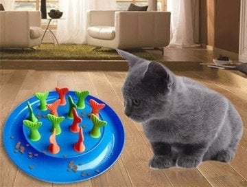 Kedi Balık Puzzle Oyunu