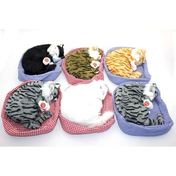 Minderde Uzanan Horlayan Renkli Peluş Kedi (23 cm)