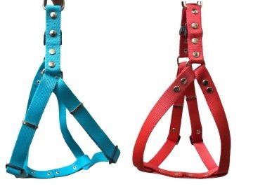 Orta ve Küçük Irk Köpekler İçin Göğüs Tasması