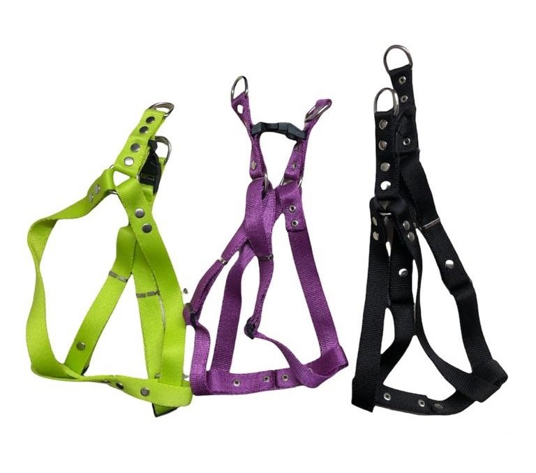 Orta ve Küçük Irk Köpekler İçin Göğüs Tasması