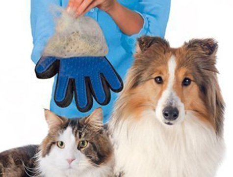 Kedi Köpek Tüy Toplayıcı Eldiven (Kutusuz)