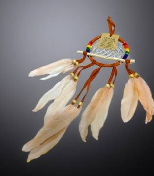 Mini Tüylü Boncuklu Ve Dallı Rüya Kapanı Dream Catcher