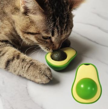 Avokado Kedi Yalama Oyuncağı Kedi Nanesi
