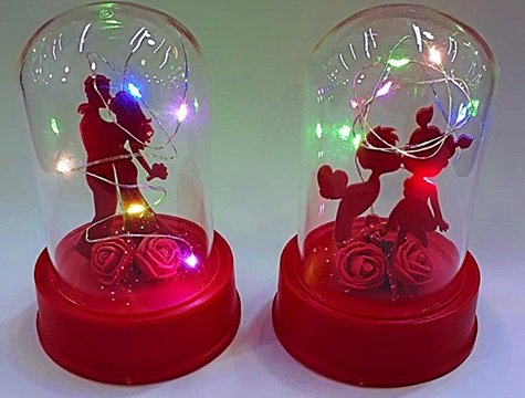 Fanus İçinde Led Işıklı Romantik Sevgili Biblosu
