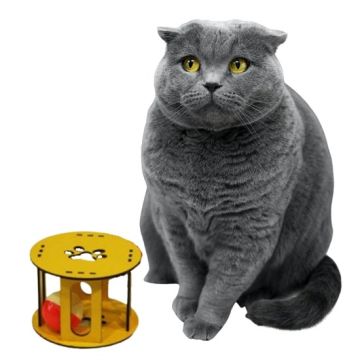 Kedi Pati Desenli Ahşap Kafes Sesli Kedi Oyuncağı
