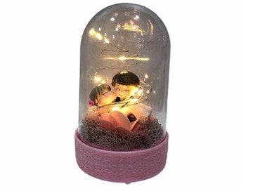 Fanus İçinde Led Işıklı Dekoratif Sevgili Biblo
