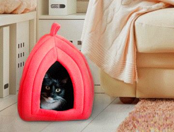 Polar Kedi ve Köpek Yatağı - Pet Hut