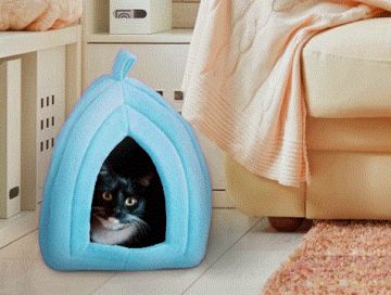 Polar Kedi ve Köpek Yatağı - Pet Hut