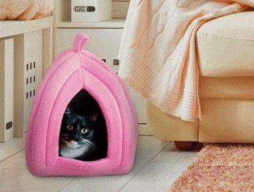 Polar Kedi ve Köpek Yatağı - Pet Hut