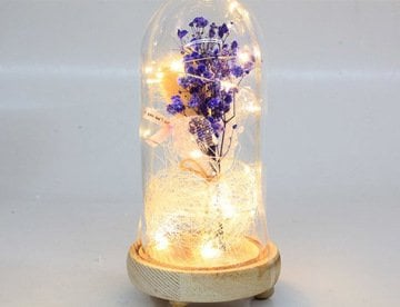 Gül Şeklinde Dekoratif Led Işıklı Cam Fanus (19 cm x 10 cm)