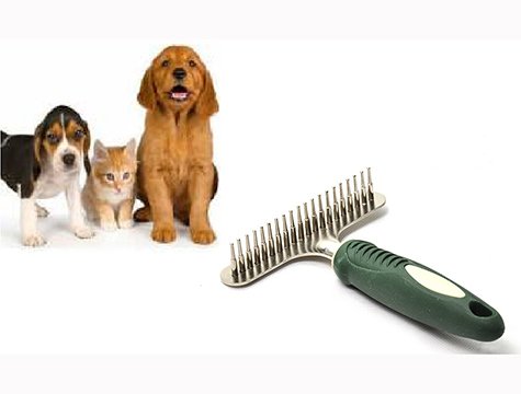American Kennel Club Köpek Tımar Tarağı