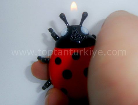 Uğur Böceği Magnet Çakmak