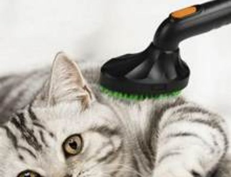 Kedi Köpek Vakumlu Fırça Süpürge Başlığı