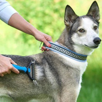 Metal Uçlu Kedi Köpek Bakım Kıtık Tüy Topak Açıcı Tarak