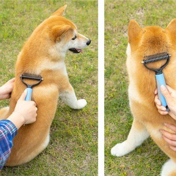 Metal Uçlu Kedi Köpek Bakım Kıtık Tüy Topak Açıcı Tarak