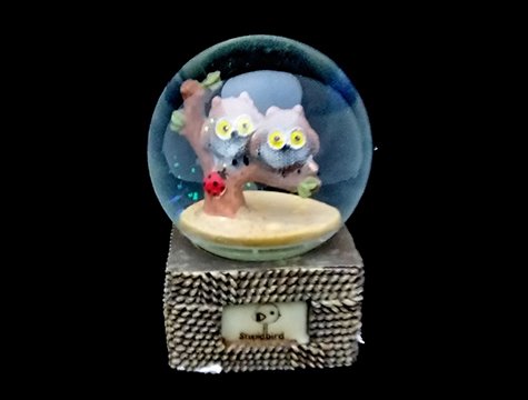Sevimli Baykuşlar Kar Küresi ve Müzik Kutusu