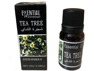 Çay Ağacı Buhur Sığla Uçucu Yağı (Tea Tree Buhur Oil)