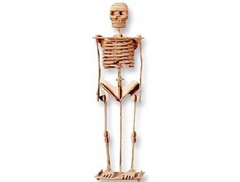 Ahşap 3D Puzzle İskelet Maketi