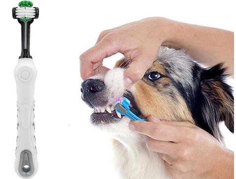 3 Taraflı Yumuşak Kedi Köpek Diş Fırçası Tatar ve Çürüme Önleyici