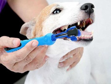 3 Taraflı Yumuşak Kedi Köpek Diş Fırçası Tatar ve Çürüme Önleyici