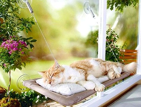 Sunny Seat Cama Asılan Kedi Yatağı