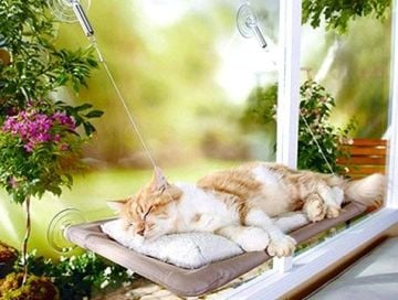 Sunny Seat Cama Asılan Kedi Yatağı