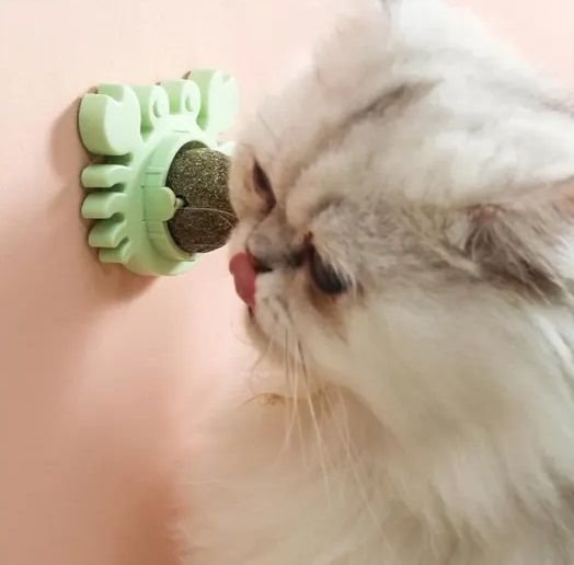 Yenilebilir Yengeç Tasarımlı Kedi Otu Oyun Topu
