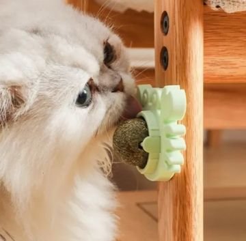 Yenilebilir Yengeç Tasarımlı Kedi Otu Oyun Topu